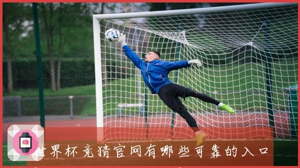 世界杯竞猜官网有哪些可靠的入口？怎么买才不会踩雷？