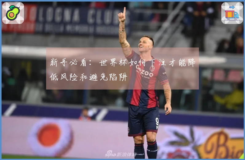 新手必看：世界杯如何下注才能降低风险和避免陷阱